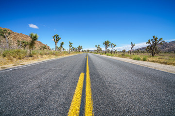 on the road in the joshua tree national park, california, usa