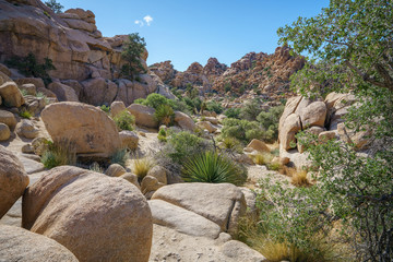 hiking the hidden valley trail in joshua tree national park, california, usa