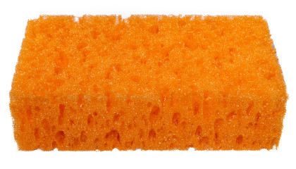 orange porous sponge for washing dishes in the kitchen