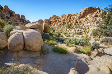 hiking the hidden valley trail in joshua tree national park, california, usa
