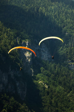 Two Paragliders