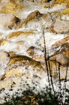 River - Detail