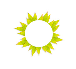 Leaves frame patterns with white blank paper circle isolated on background