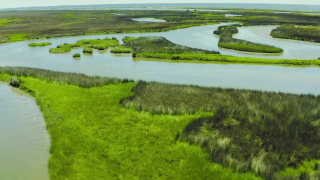 A beautiful day in the swamps beach river island birds flying aerial footage 4k