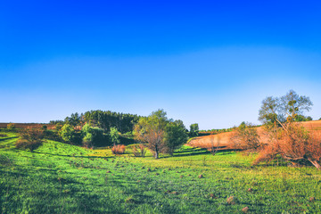 beautiful spring landscape with field