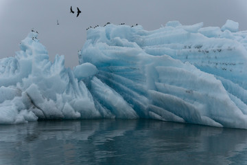 Iceberg formations floating on the surface of Jokulsarlon lagoon in iceland
