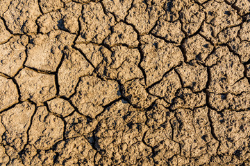 Background of the cracked dry barren soil. Global warming concept