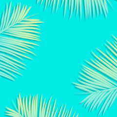 Fototapeta na wymiar Flat lay palm leaves with blank copy space. Seasonal summer concept for background.