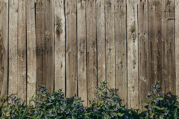 Background wooden fence with flowers