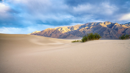 mesquite flat sand dunes in death valley national park in california, usa