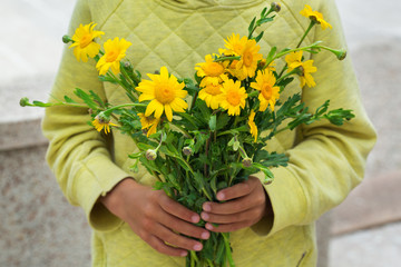 Young boy, kid child hands with yellow wild flowers