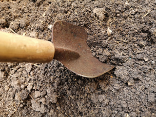 Shoveling the soil for gardening in soft focus and good soil for planting.