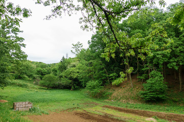 【東京都 町田】都内にある田舎の風景