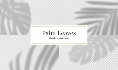 Set of vector leaves shadow overlay effect. Vector tropical palm leaves overlay © Stock Vector One