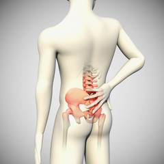Naklejka premium 3d Illustration of Back Pain