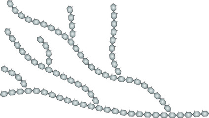 Glycogen is a multibranched polysaccharide consisting of linear chains of glucose residues with an average length of approximately 8–12 units.