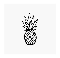 Pineapple.Vector image of fruits. Doodle style. Summer tropical and garden fruits. Sketches for children. Elements for doctrine and print on clothing.