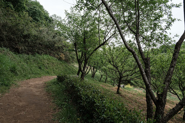 【東京都 町田】都内にある田舎の風景