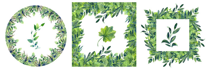 Green gentle leaves frames, wreaths, summer floral elements. Clip art. Isolated elements on a white background.  Stock illustration. Hand drawn in watercolor.