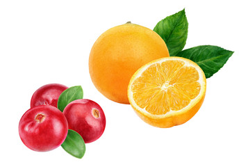 Naklejka na ściany i meble Cranberry orange fruit watercolor illustration isolated on white background