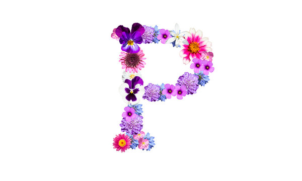 104 Best 花文字 Images Stock Photos Vectors Adobe Stock