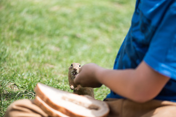 Concept of connection with adorable natural animals