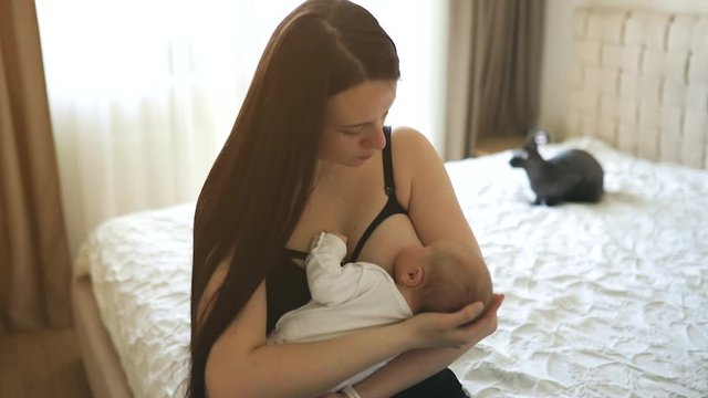 Mother and little baby girl during breastfeeding with cat in background