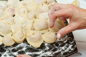 Modeling and cooking homemade dumplings by the family at home