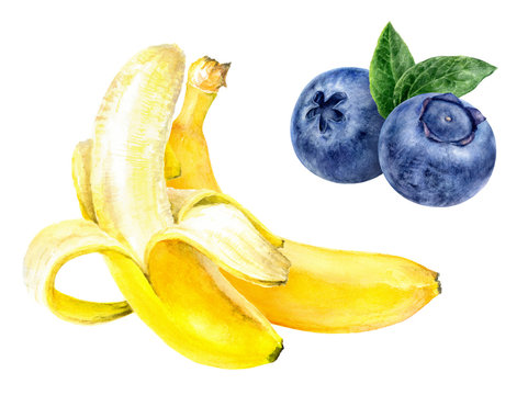Blueberry banana hand drawn watercolor illustration isolated on white background
