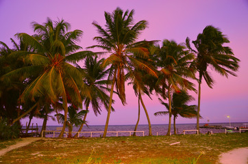 Egzotyczna plaża z palmami na wyspie Caye Caulker w Belize, podczas zachodu Słońca nad morzem Karaibskim © Tomasz Aurora