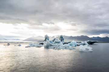 Swimming iceJökulsárlón glacier lagoon