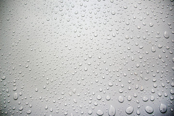 water drops close up