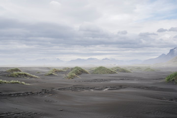 Windy dunes in Iceland