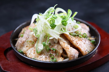 豚肉の鉄板焼き