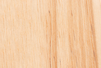 Obraz premium abstract wood wave line texture background