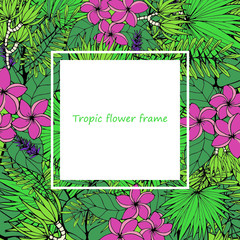 Hand drawing tropical flowers with colorfull elements, flowers and leafs