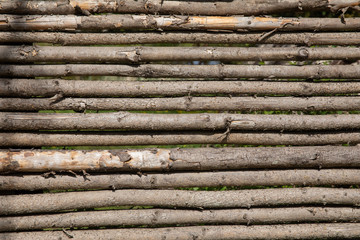 wood background with lines 