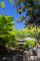 岡山　倉敷　円通寺