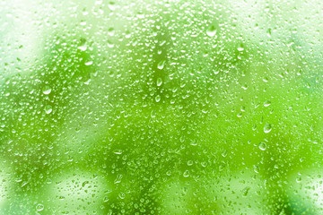 glass window with rainy droplets green trees on background. water drops on dripped wet background pane in a rainy days.  natural green forest wallpaper. shover weather. rainy season.