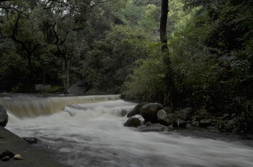 Obraz premium River in the forest