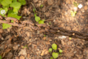 old brown chain in the middle of the woods 