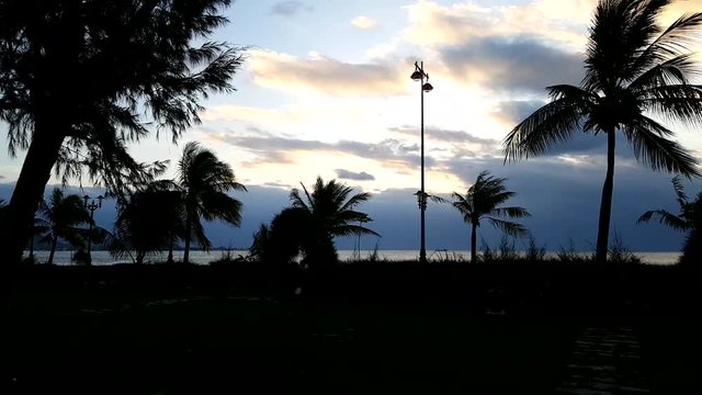 Timelapse of sunrise on the sea. Palm leaves silhouettes shake on blue sky background with white clouds. Summer time.