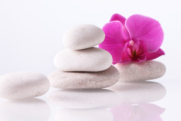 Fototapeta na wymiar Wellness, relax, massage and wellbeing concept. Spa stones and orchid flower over white background