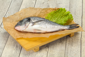 Raw Dorada fish  for cooking