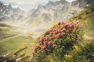 Fototapeta premium Tristaina high mountain lakes in Pyrenees, Andorra.