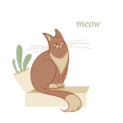 Vector illustration, a cartoon cute sitting foxlike red cat hurling down a flowerpot on a white background.