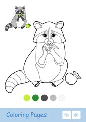 Colorful template and colorless contour image of a raccoon eating an apple isolated on white background.