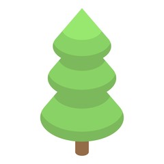 Fir tree icon. Isometric of fir tree vector icon for web design isolated on white background