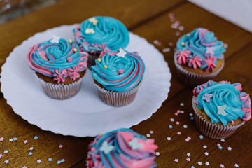Pink-blue cupcakes in a white plate on a wooden background
