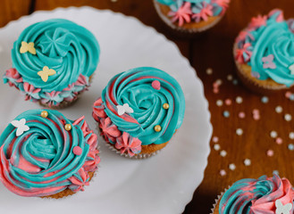 Turquoise cupcakes in a white plate on a wooden background